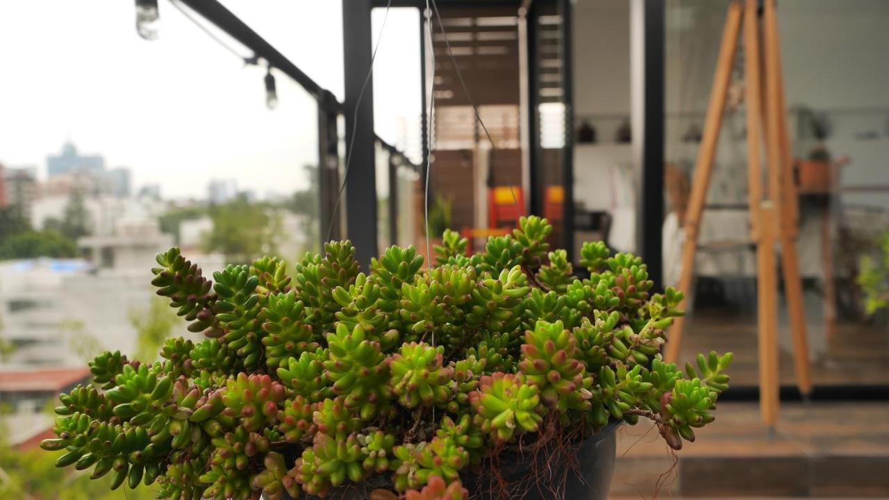 Loft Remedios - Penthouse Cdmx - Areas Comunes Compartidas México DF Exterior foto